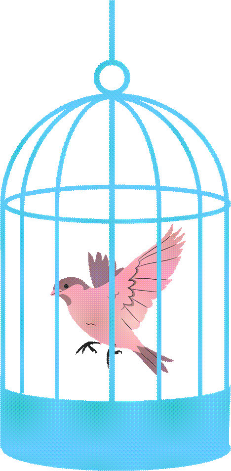 Bird@4x
