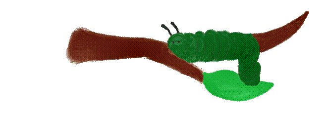 caterpillar