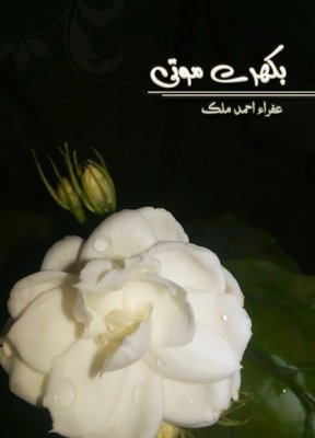 بکهرے موتی