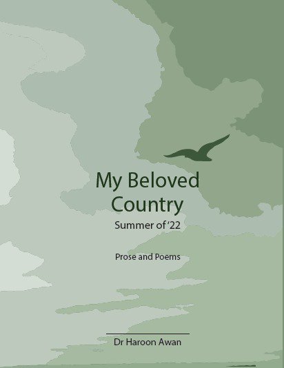 My Beloved Country - Summer of '22
