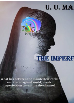 Cover of The Imperfect- Philosophical Fiction Book