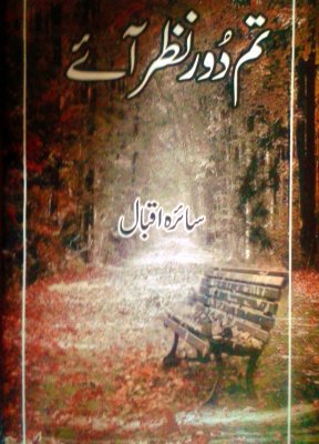 Tum door nazar aae - Urdu Romance Novel 