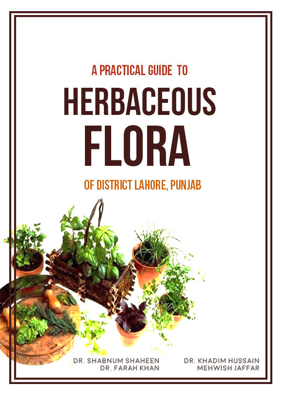 Cover of 'A Practical Guide to Herbaceous Flora' 
