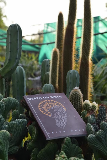 Photo from customer review