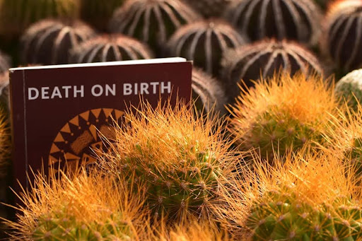 Photo from customer review