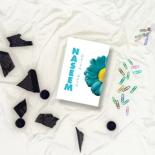 Photo from customer review